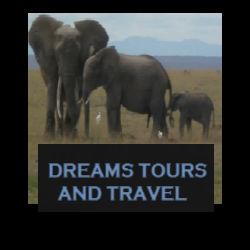 Want  to Explore The Beauty of Kenya wildlife safaris ?