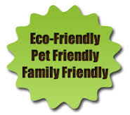 HOME CLEANING SERVICES