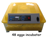 48 chicken icubator/132 quail eggs incubator