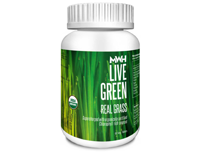 Buy 100% Vegetarian and Allergen Free USDA / Kosher / Halal Certified Supplement by Sandy