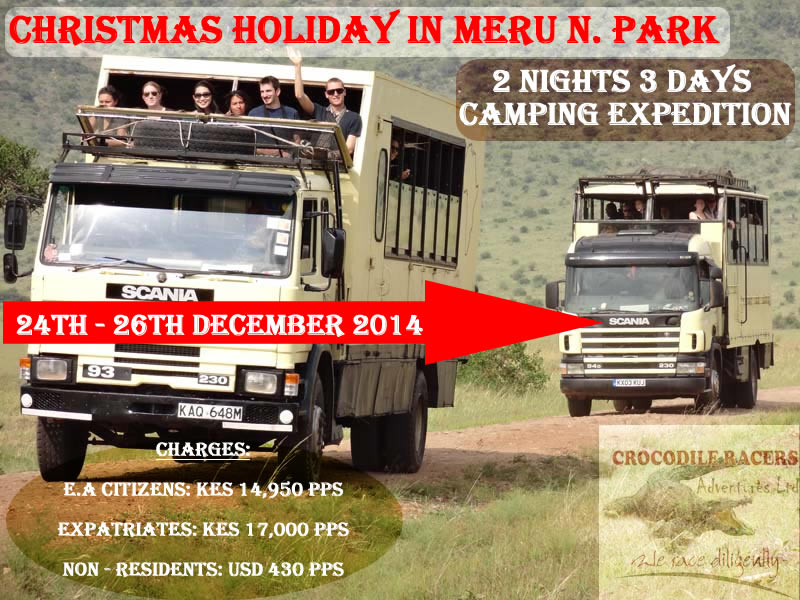 Christmas Holiday Safari To Meru National Park