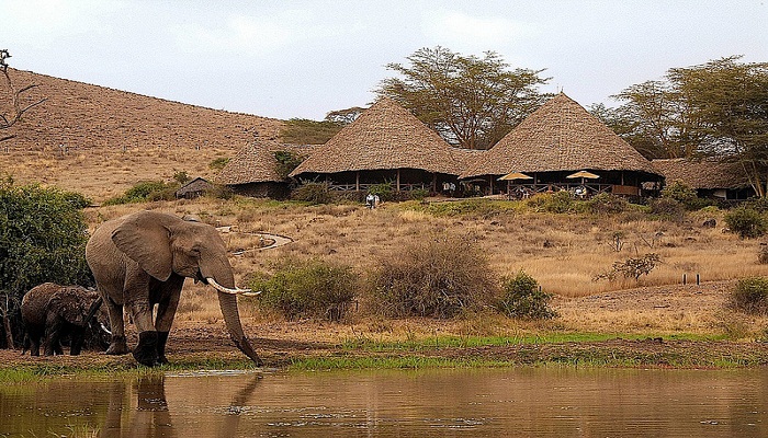 Amboseli National Park