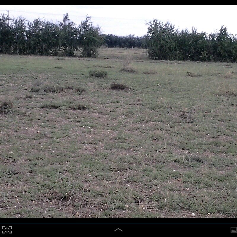 Kitengela Greennview Gardens plots for sale