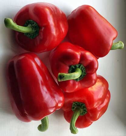 RED CAPSICUMS