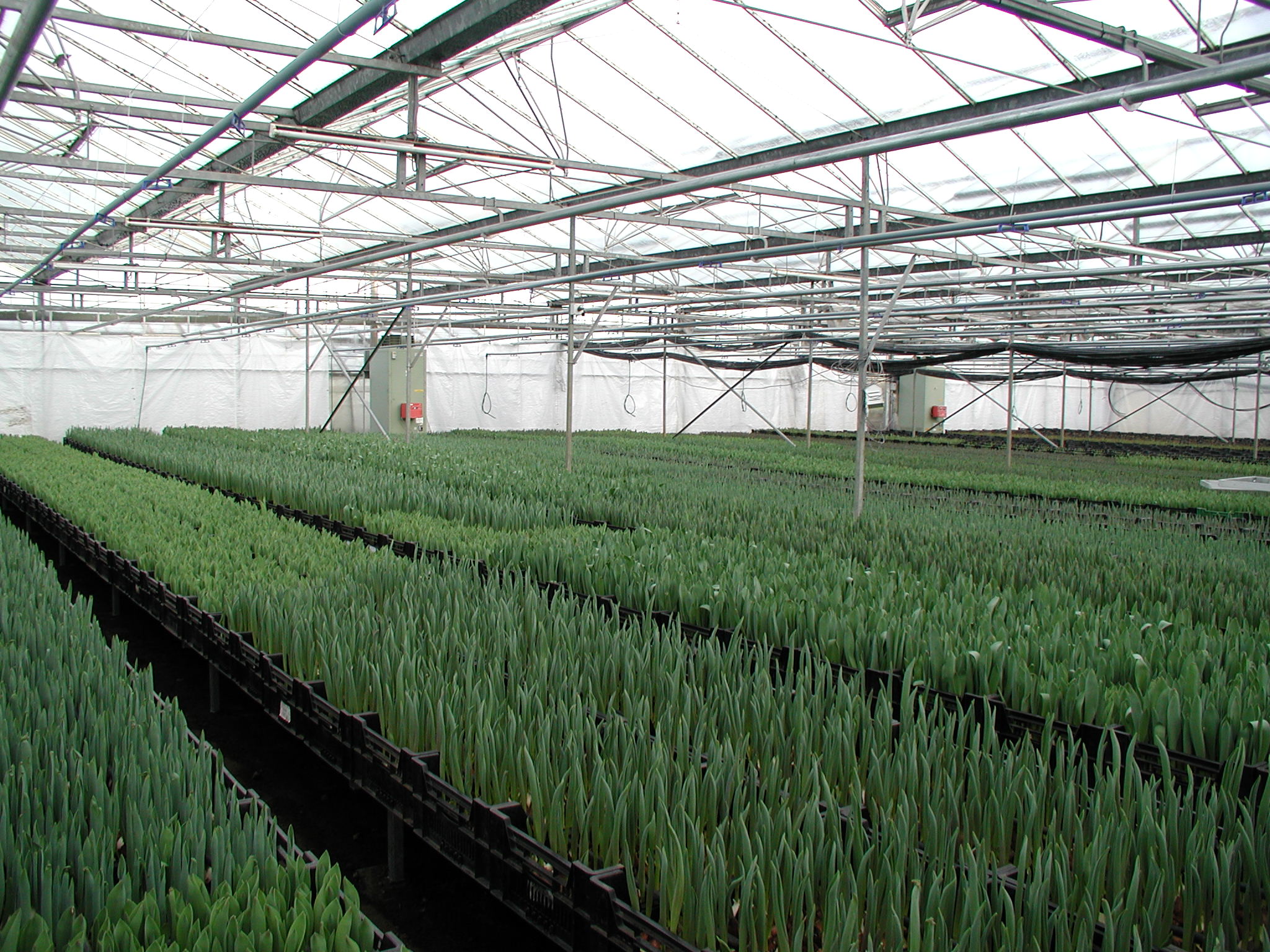 Hydroponics business