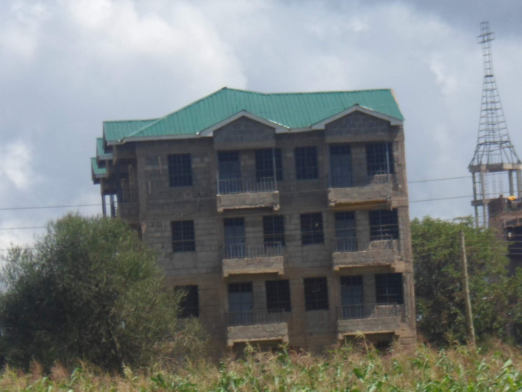 Commercial 50x100 Titled Plot