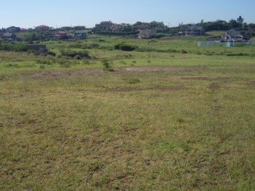 Ruiru Murera plots for sale