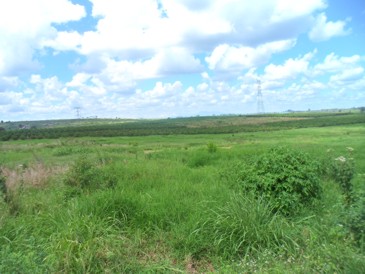 Plot of land for sale off the Thika - Garissa highway.