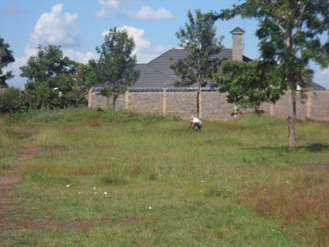 Conveniently Positioned Residential 50x100 Titled Plot Eastern Bypass
