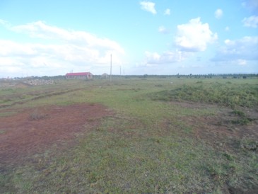 Kenol 50x100 plots for Sale