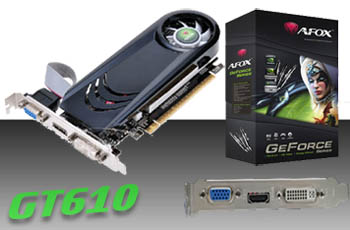 2GB NVIDIA GT610