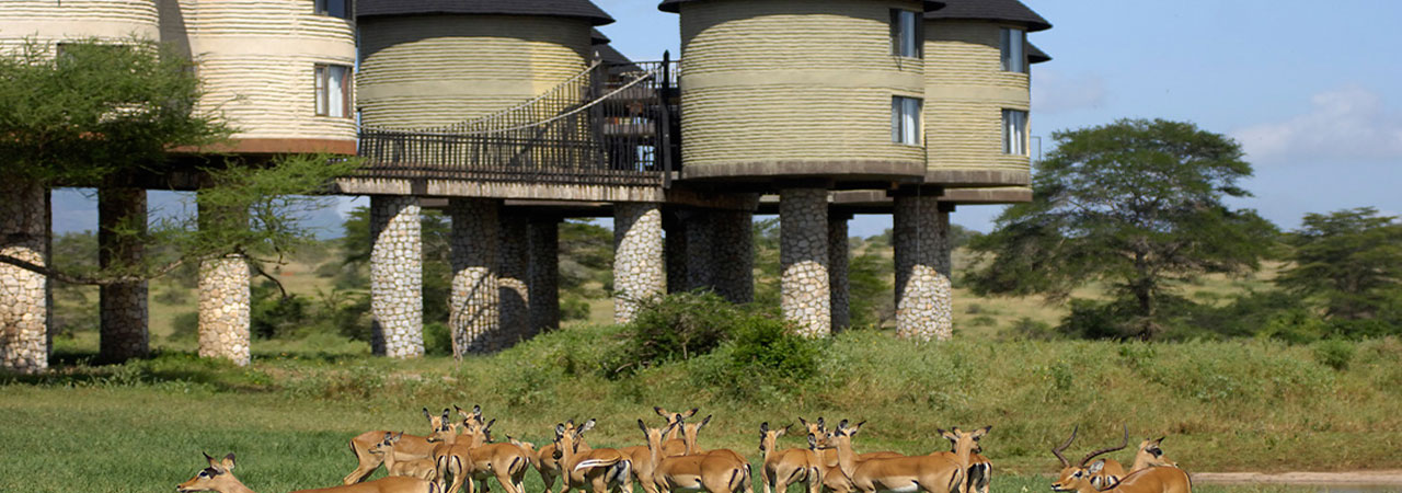 Mashujaa Weekend @ Sarova Salt Lick 2 Nights 3 Days 18th - 20th October 2015