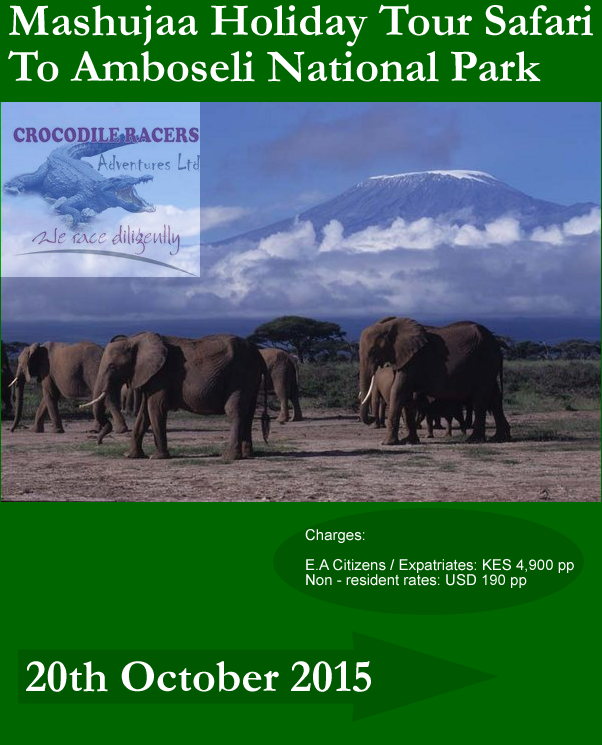 Mashujaa Holiday Tour Safari To Amboseli National Park 20th October 2015