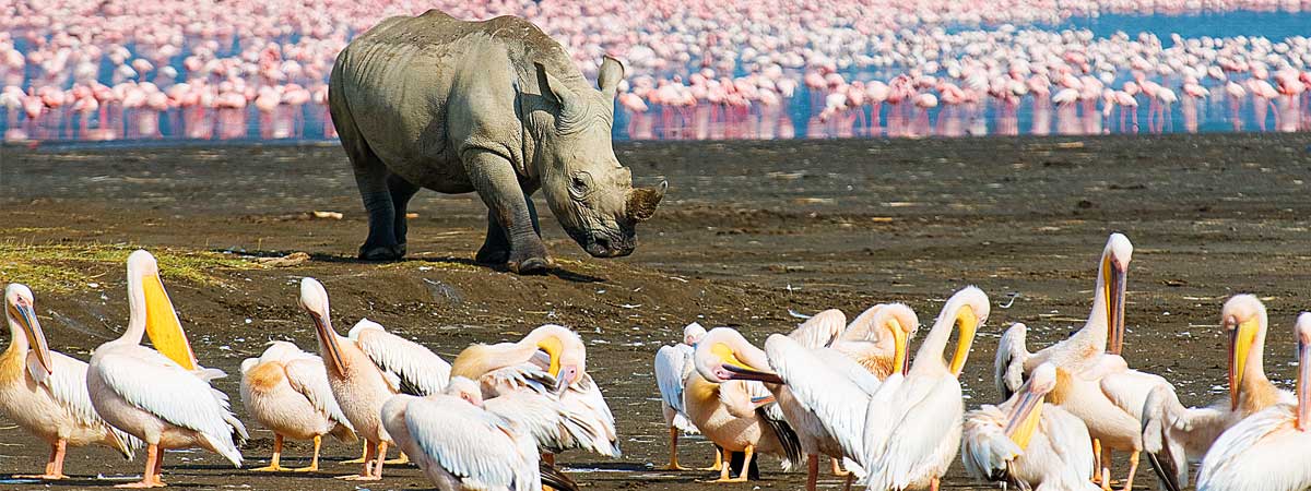 Jamhuri Weekend @ Lake Nakuru Sopa Lodge 2 Nights 3 Days 11th - 13th October 2015