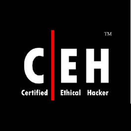 Certified Ethical Hacker Training Course in Nairobi, Kenya