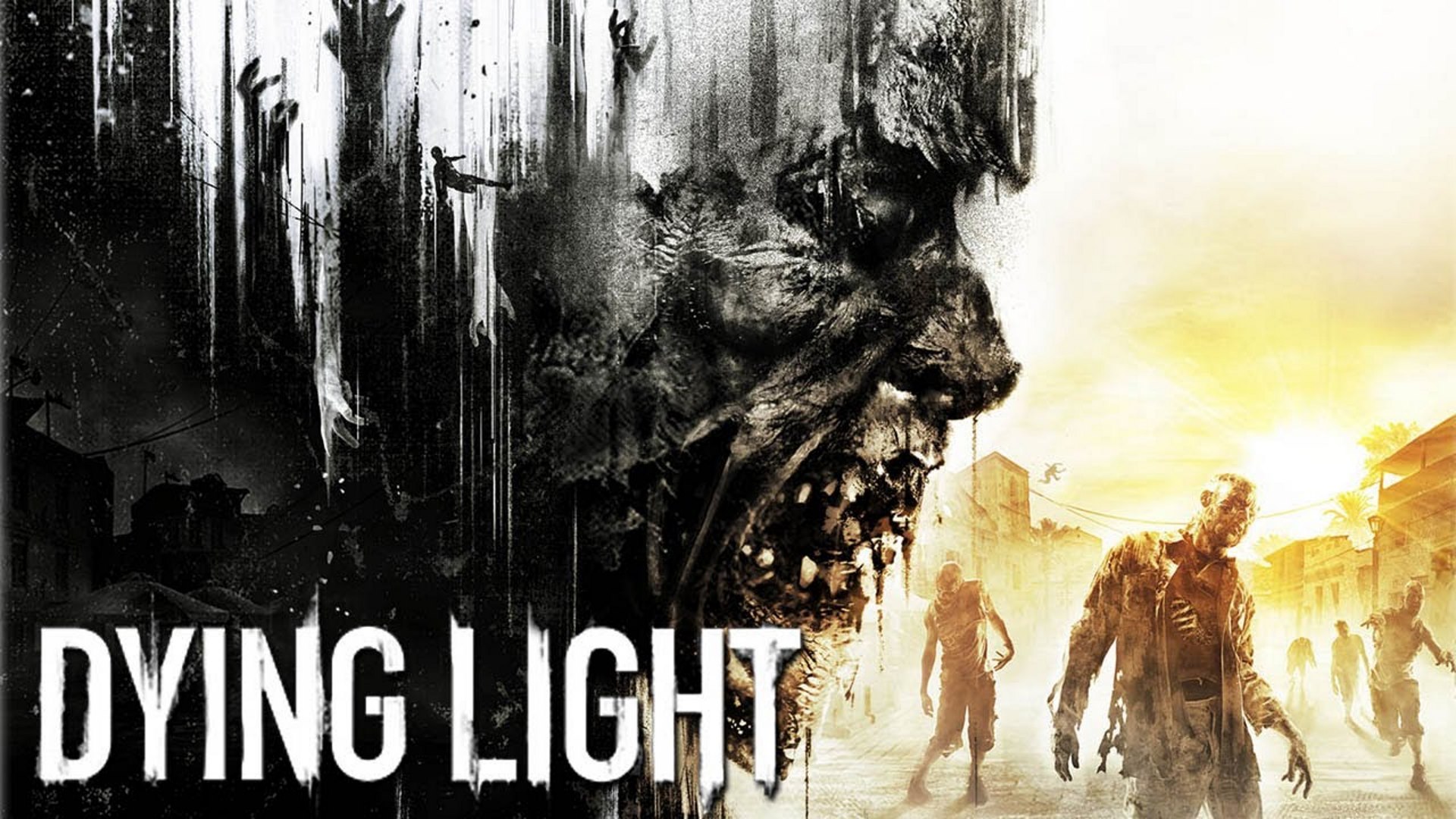 Dying Light Computer Game.