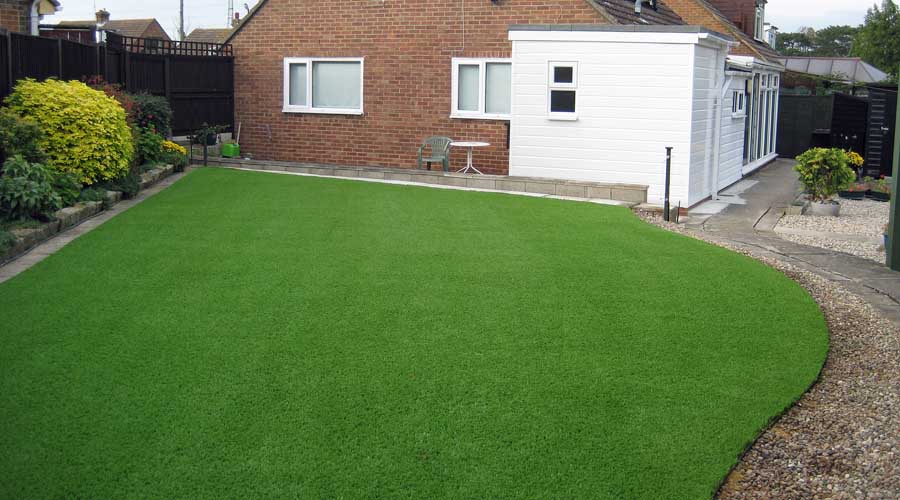 Arabica grass At Florascape stores