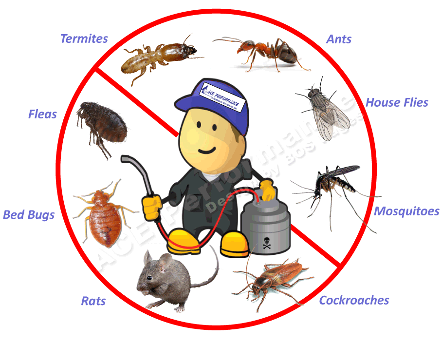 Bedbugs &amp; Fumigation services at Florascape