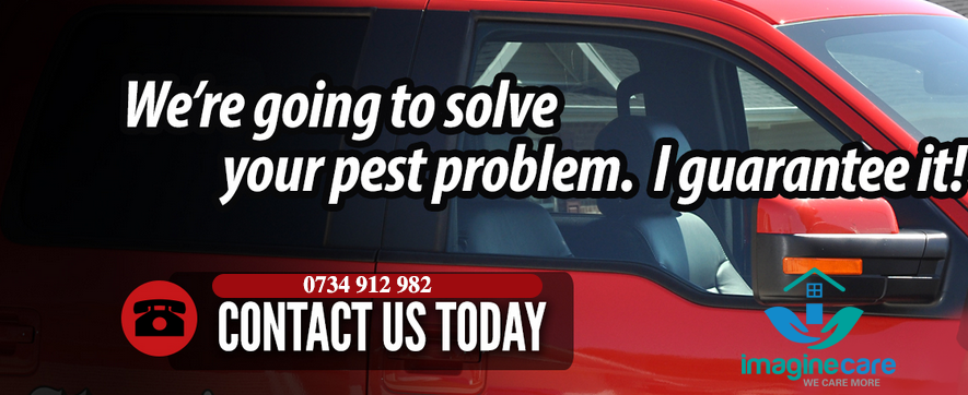 Fumigation &amp; Pest Control Near Me