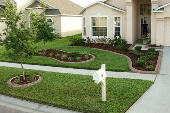 Natural green grass with  dark leaves that  forms an excellent lawn for sale