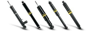 Heavy duty coil springs and new shocks