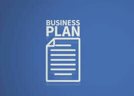 Business Plans/Proposals/Project Writing