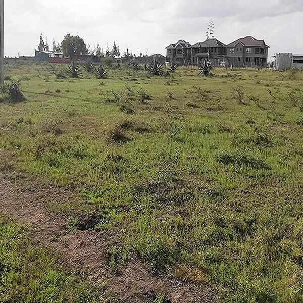 Chumvi plot for sale