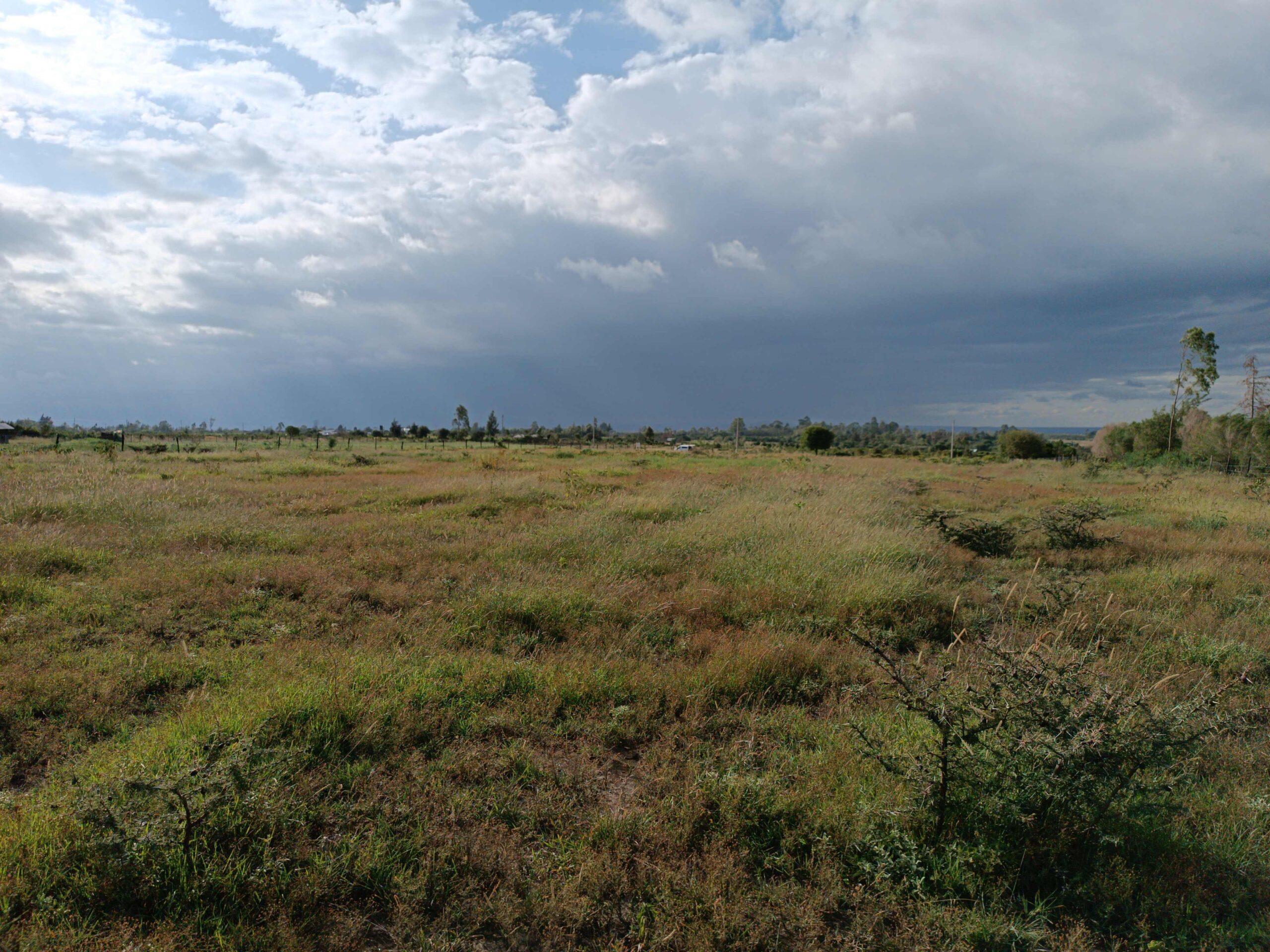 3Acre land for sale Naromoru Muriru