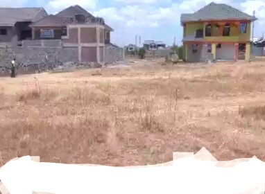 Genuine Ruiru bypass 50*100 plot