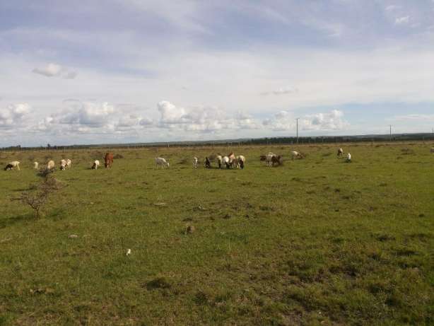 Prime 10 Acres Land at Sholinke (Rongai)