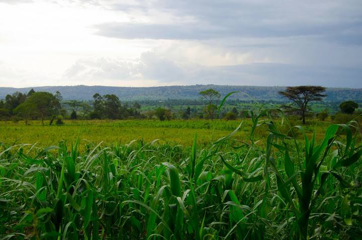 20,000 Acres Land for Sale or Lease at Kilgoris