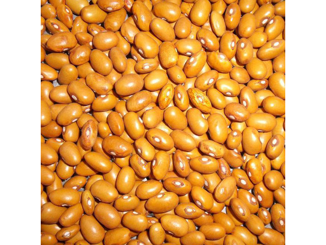 Yellow Beans Ready for sale in bulk