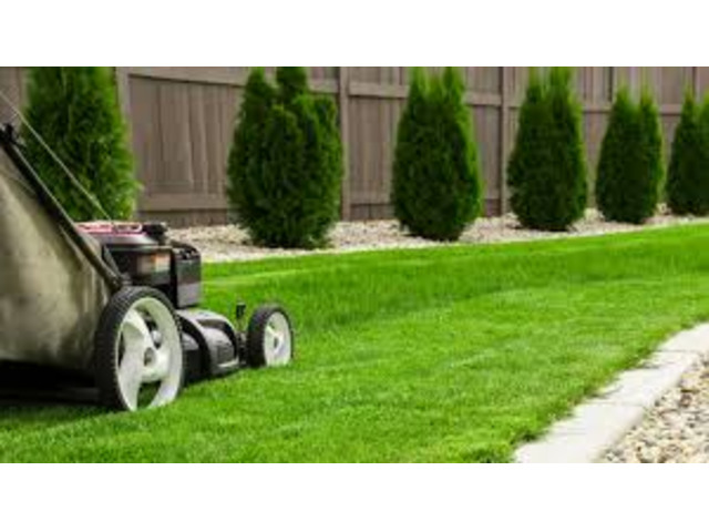 Mowing services in Nairobi