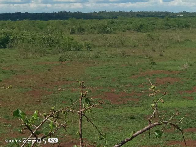 christmass offer ..juja farm prime plot with ready title deeds GET 10K DISCOUNT