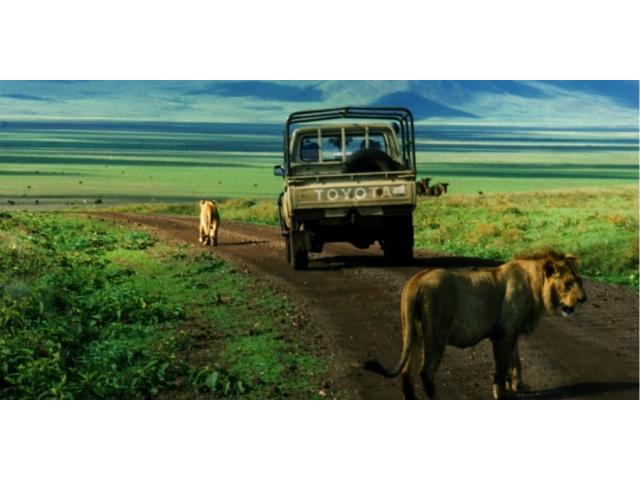 3 days ngorongoro crater safari