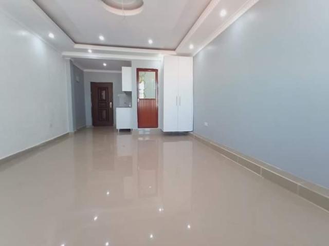 Modern Spacious Dsq/Bedsitter In Kileleshwa