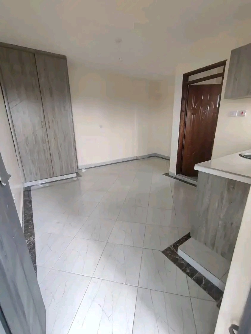 Neat unique modern lovely clean bedsitter to let at Makupa