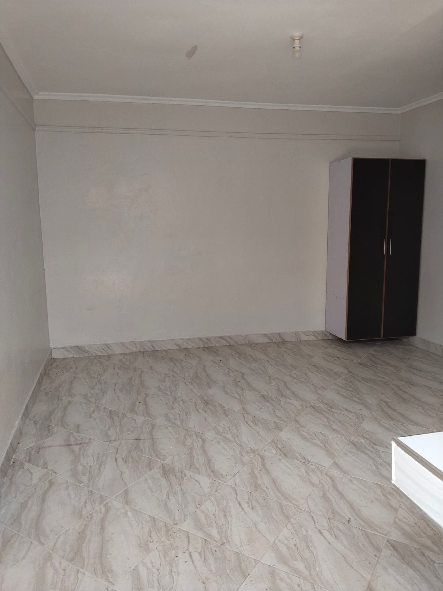 Unique modern decent excellent beautiful bedsitter to let at Kinoo