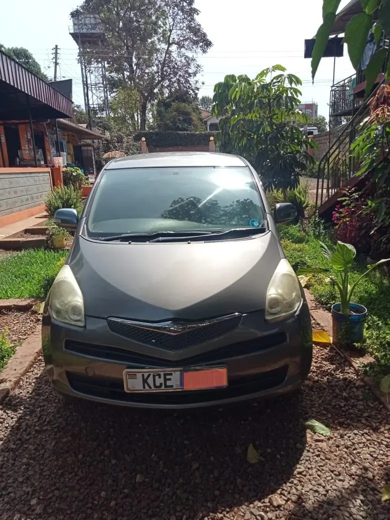 Lady owned Ractis with a disabled utility chair