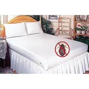 Cockroaches Fumigation in Nairobi, Bed bug fumigation in Nairobi, Cleaning Services in Nairobi