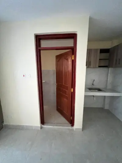 MODERN BEDSITTER FOR RENT AT NGARA