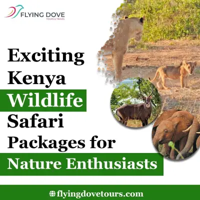 Exciting Kenya Wildlife Safari Packages for Nature Enthusiasts