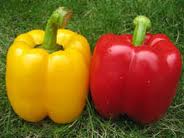 Capsicums - Pilipili-Hoho (Red and Yellow)-