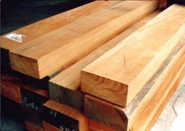 Quality Timber for Making Furnitures and Building