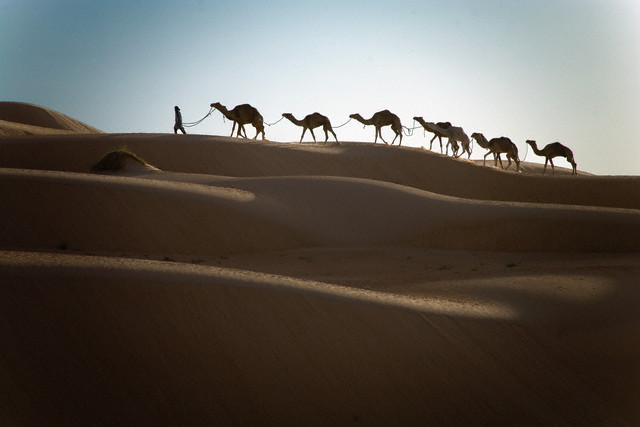 Rajasthan Tourism packages at Unbelievable Price!