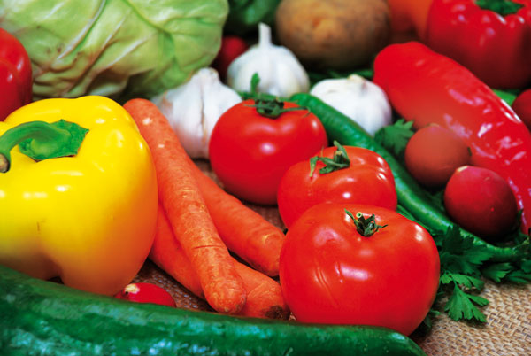 Pandi Fresh Foods is looking for suppliers of poultry eggs