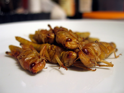 Learn how to cook African Delicacies in a Special manner