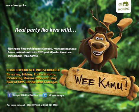 Kenya Wildlife Service (KWS) Parks Holiday Season Offers