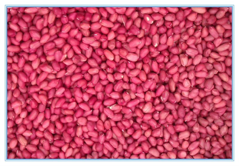 Raw red-skin Groundnuts/Peanuts for Sale