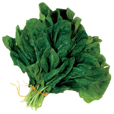 Fresh Vegetable Supply – Spinach
